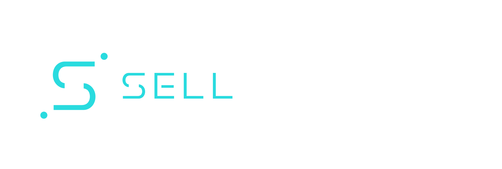 sellyourself24